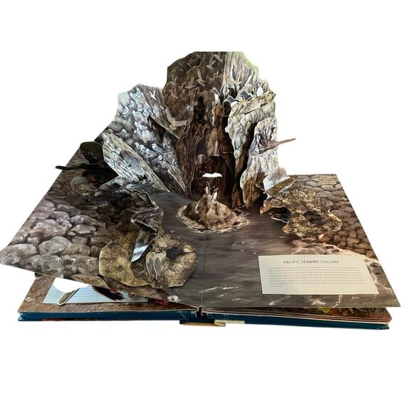 Birdscapes Pop Up Book Celebration of Bird Songs in Stereo M. Chu & Cornell Labs - Picture 11 of 14